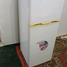 holadilnik. холодильник.