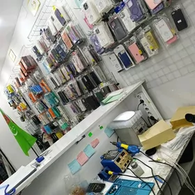 satlyk biznes ussahana