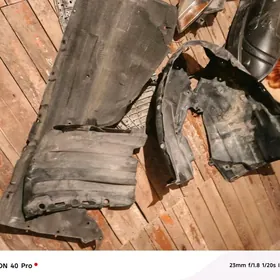 Patkrylnyk Arginal yly tazeler