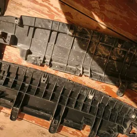 Zasita Arginal yyly taze