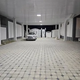 Satlyk Gokdepe kotež