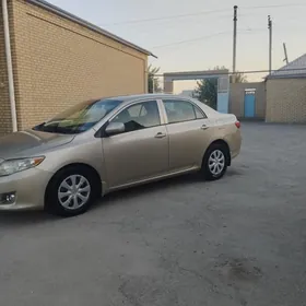 Toyota Corolla 2010