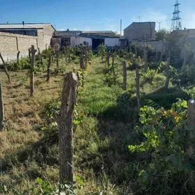 5 комнат 12 сотук