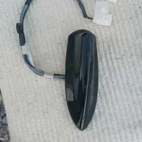 Highlandyr 20/24 Akula