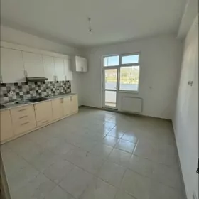 ️️Satlyk mir 8 tazesi️️