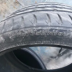pokryska 255.35.19