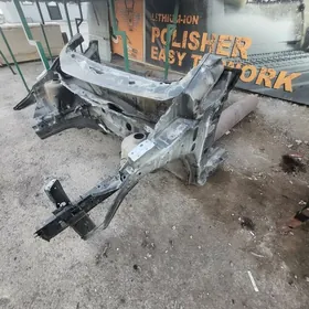 not versa kelte morda