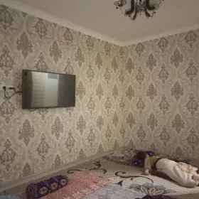 Satlyk jay 56kw1etaz