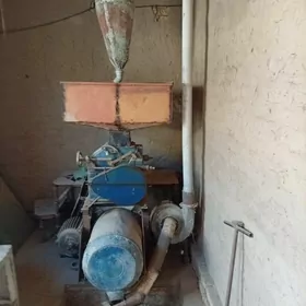 зараз 30 лык