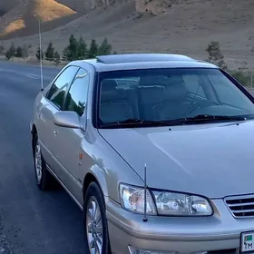 Babycka duty kamry anten