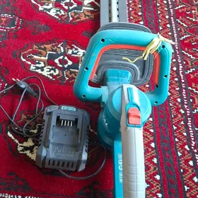 yolka kesyan masynka