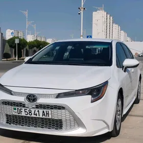 Toyota Corolla 2021