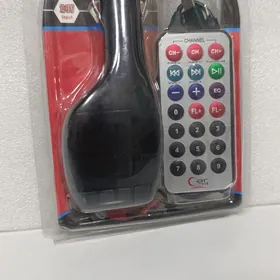 Maşynyň magnitol auks