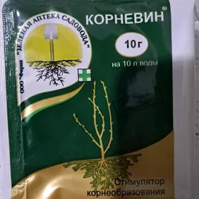 Gullerin̈ dokunleri