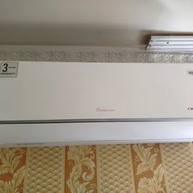 General puls 13 lik inwetir