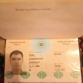 pasport galypdyr takside