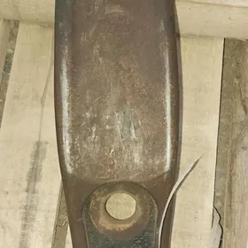 50 ligin pagurisigin disi