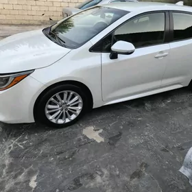 Toyota Corolla 2019