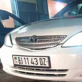 Abyrsopka Duty camry