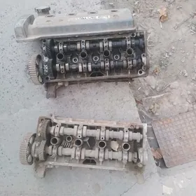 галовка.авган.карола.