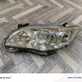 carolla xli cep fara