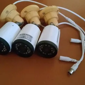 рабочий камеры и тюнер