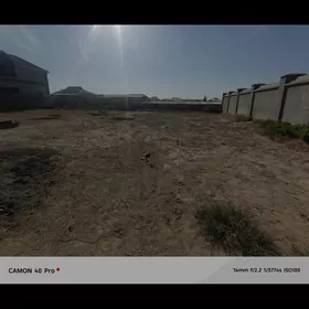 MARY ŞAHER NELLEK YER KAMANIST