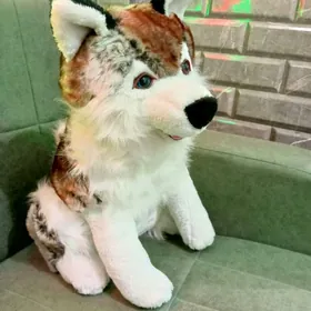 haski miska хаски