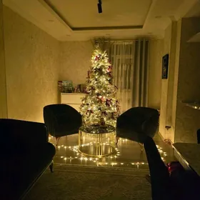 yolka taze hemme zady bilen