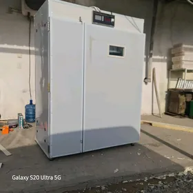 Inkubator / Инкубатор