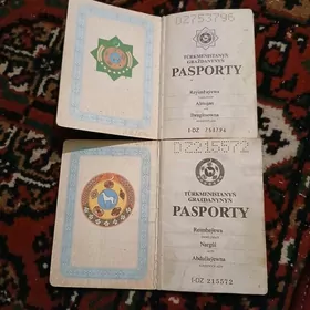 Pasport tapyldy