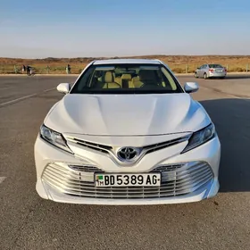 Toyota Camry 2020