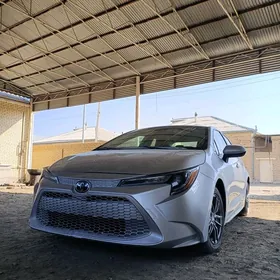 Toyota Corolla 2021