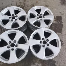 siyena disga arginal17lik