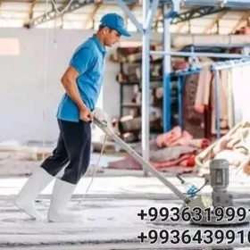 Haly moýka ковров химчистка