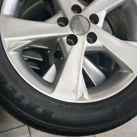 Exskuliziw 16 lyk Karolla