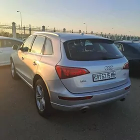 Audi Q5 2010