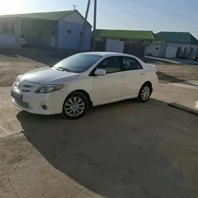 Toyota Corolla 2011