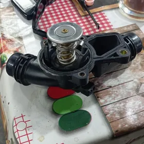 термостат.улитка