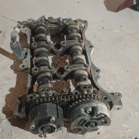 wanus 3.0 lik galofka