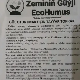 Gül oturtmak üçin taýar toprak