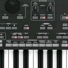 korg pa 3 xle