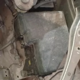 tok sit siyena 2004/2007