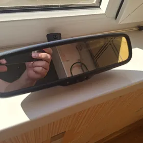 заркодозаднего вида с маниторо