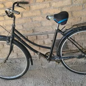 welsapet kama welik tigir