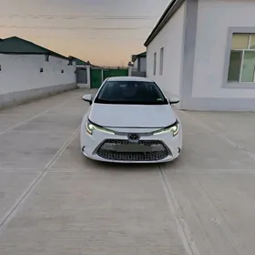 Toyota Corolla 2020