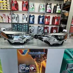 corolla 14-15 Le fara taze