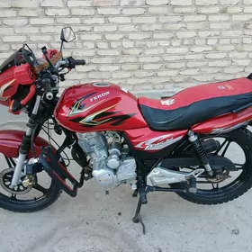 Fekon FK200-14G 2012