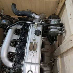 forland matorlar morda