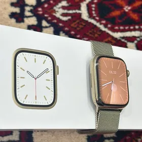 Apple watch 7 stainless steel